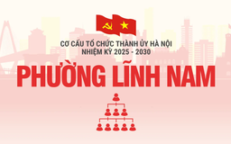 Cơ cấu tổ chức Đảng ủy phường Lĩnh Nam nhiệm kỳ 2025-2030
