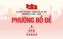 Cơ cấu tổ chức Đảng ủy phường Bồ Đề nhiệm kỳ 2025-2030