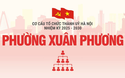Cơ cấu tổ chức Đảng uỷ phường Xuân Phương nhiệm kỳ 2025-2030