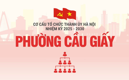 Cơ cấu tổ chức Đảng ủy phường Cầu Giấy nhiệm kỳ 2025-2030