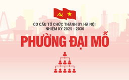 Cơ cấu tổ chức Đảng ủy phường Đại Mỗ nhiệm kỳ 2025-2030