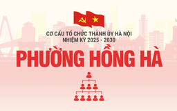Cơ cấu tổ chức Đảng ủy phường Hồng Hà nhiệm kỳ 2025-2030