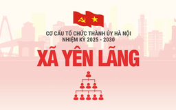 Cơ cấu tổ chức Đảng ủy xã Yên Lãng nhiệm kỳ 2025-2030
