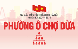 Cơ cấu tổ chức Đảng ủy phường Ô Chợ Dừa nhiệm kỳ 2025-2030