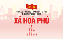 Cơ cấu tổ chức Đảng ủy xã Hoà Phú nhiệm kỳ 2025-2030