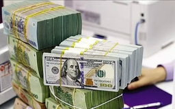 Kiến nghị giữ nguyên thuế suất lãi vay nhà đầu tư FDI