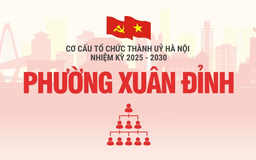 Cơ cấu tổ chức Đảng uỷ phường Xuân Đỉnh nhiệm kỳ 2025-2030