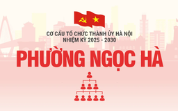 Cơ cấu tổ chức Đảng ủy phường Ngọc Hà nhiệm kỳ 2025-2030
