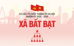 Cơ cấu tổ chức Đảng ủy xã Bất Bạt nhiệm kỳ 2025-2030