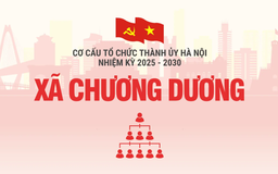 Cơ cấu tổ chức Đảng ủy xã Chương Dương nhiệm kỳ 2025-2030