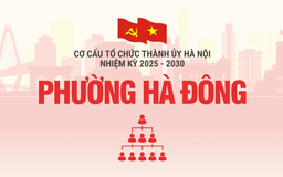 Cơ cấu tổ chức Đảng ủy phường Hà Đông nhiệm kỳ 2025-2030