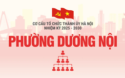 Cơ cấu tổ chức Đảng ủy phường Dương Nội nhiệm kỳ 2025-2030