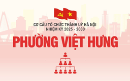 Cơ cấu tổ chức Đảng uỷ phường Việt Hưng nhiệm kỳ 2025-2030