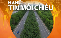 Có nên bỏ cây xanh trên dải phân cách cao tốc? | Hà Nội tin mỗi chiều