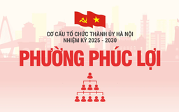 Cơ cấu tổ chức Đảng ủy phường Phúc Lợi nhiệm kỳ 2025-2030