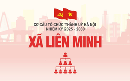 Cơ cấu tổ chức Đảng uỷ xã Liên Minh nhiệm kỳ 2025-2030