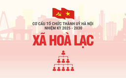 Cơ cấu tổ chức Đảng uỷ xã Hoà Lạc nhiệm kỳ 2025-2030