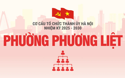 Cơ cấu tổ chức Đảng ủy phường Phương Liệt nhiệm kỳ 2025-2030