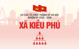 Cơ cấu tổ chức Đảng uỷ xã Kiều Phú nhiệm kỳ 2025-2030
