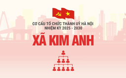 Cơ cấu tổ chức Đảng uỷ xã Kim Anh nhiệm kỳ 2025-2030