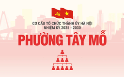 Cơ cấu tổ chức Đảng ủy phường Tây Mỗ nhiệm kỳ 2025-2030