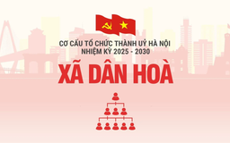 Cơ cấu tổ chức Đảng uỷ xã Dân Hoà nhiệm kỳ 2025-2030