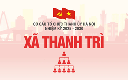 Cơ cấu tổ chức Đảng ủy xã Thanh Trì nhiệm kỳ 2025-2030