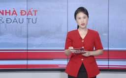 Bản tin Nhà đất và đầu tư | 19/09/2025