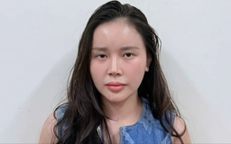 Khởi tố đối tượng Lê Hương Ly về tội vu khống