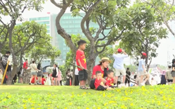 Người dân TP.HCM hân hoan đón Tết Độc lập