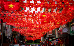 Đi giữa rừng cờ Tổ quốc trong mùa thu độc lập