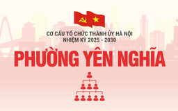 Cơ cấu tổ chức Đảng ủy phường Yên Nghĩa nhiệm kỳ 2025-2030