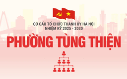 Cơ cấu tổ chức Đảng ủy phường Tùng Thiện nhiệm kỳ 2025-2030