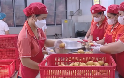 Hà Nội 'kiểm thực 3 bước' an toàn thực phẩm trường học