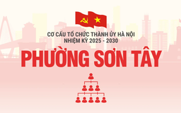 Cơ cấu tổ chức Đảng ủy phường Sơn Tây nhiệm kỳ 2025-2030