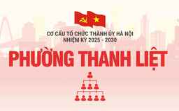 Cơ cấu tổ chức Đảng ủy phường Thanh Liệt nhiệm kỳ 2025-2030