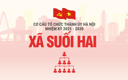 Cơ cấu tổ chức Đảng ủy xã Suối Hai nhiệm kỳ 2025-2030