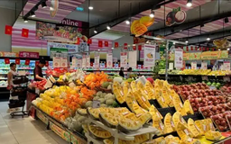 Thị trường tiêu dùng, bán lẻ Hà Nội khởi sắc