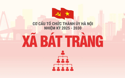 Cơ cấu tổ chức Đảng ủy xã Bát Tràng nhiệm kỳ 2025-2030