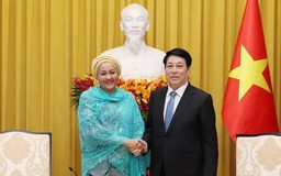 Việt Nam đóng góp tích cực vào hòa bình, ổn định thế giới