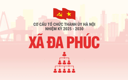 Cơ cấu tổ chức Đảng ủy xã Đa Phúc nhiệm kỳ 2025-2030