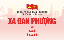 Cơ cấu tổ chức Đảng ủy xã Đan Phượng nhiệm kỳ 2025-2030