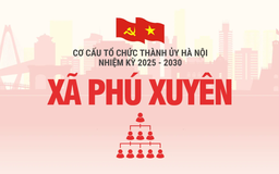 Cơ cấu tổ chức Đảng ủy xã Phú Xuyên nhiệm kỳ 2025-2030