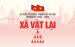 Cơ cấu tổ chức Đảng ủy xã Vật Lại nhiệm kỳ 2025-2030