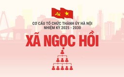Cơ cấu tổ chức Đảng ủy xã Ngọc Hồi nhiệm kỳ 2025-2030