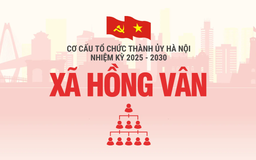 Cơ cấu tổ chức Đảng ủy xã Hồng Vân nhiệm kỳ 2025-2030