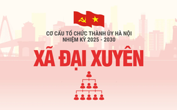 Cơ cấu tổ chức Đảng ủy xã Đại Xuyên nhiệm kỳ 2025-2030