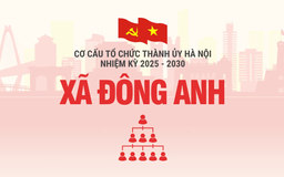 Cơ cấu tổ chức Đảng ủy xã Đông Anh nhiệm kỳ 2025-2030