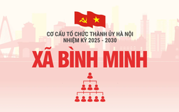 Cơ cấu tổ chức Đảng ủy xã Bình Minh nhiệm kỳ 2025-2030