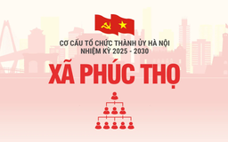 Cơ cấu tổ chức Đảng ủy xã Phúc Thọ nhiệm kỳ 2025-2030